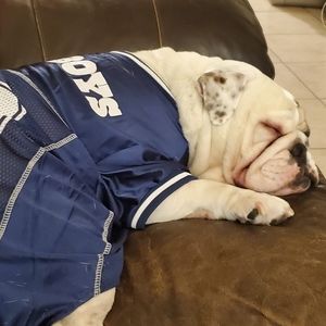 Meet your Posher, Manuel